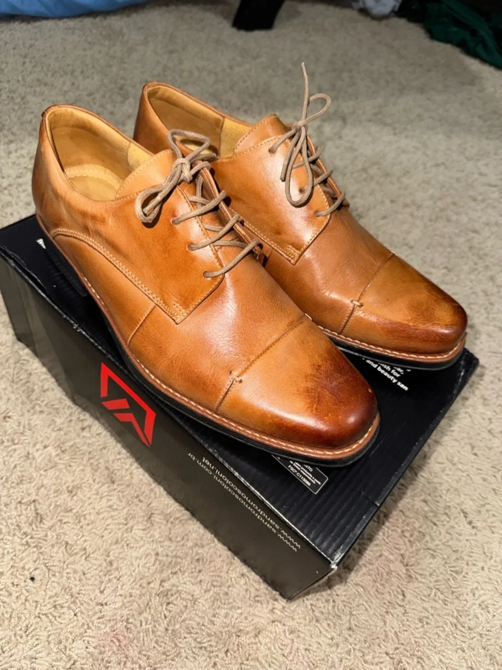 Sandro Moscoloni Men's Cognac Leather Cap-Toe Derby